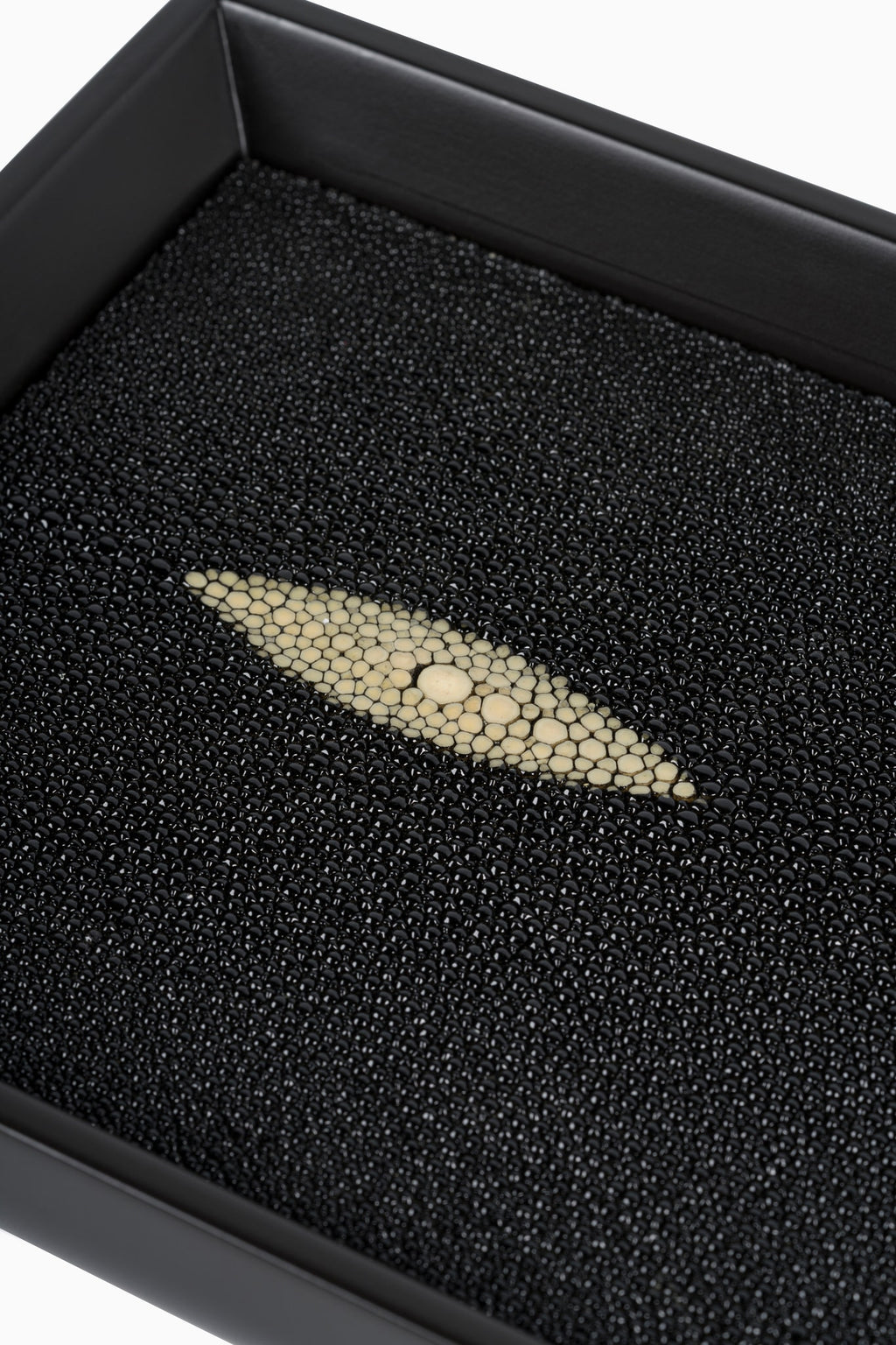 Stingray Tray